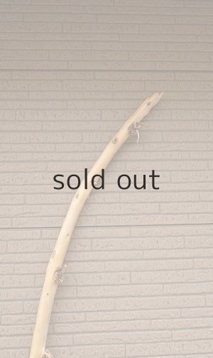 画像5: 棒流木・長尺