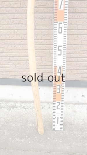 画像5: 棒流木・長尺