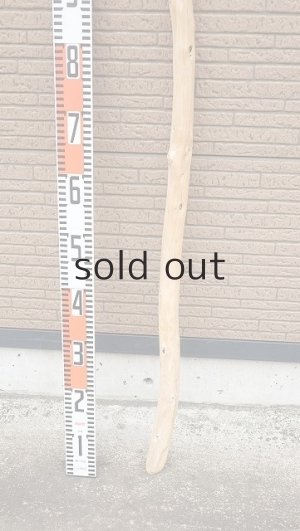 画像5: 棒流木・長尺