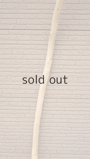 画像3: 棒流木・長尺