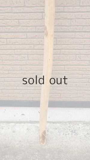 画像2: 棒流木・長尺