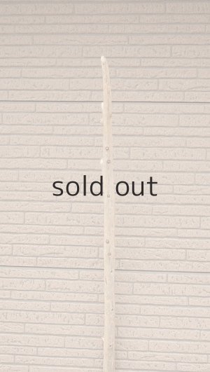 画像4: 棒流木・長尺