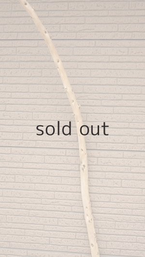 画像4: 棒流木・長尺