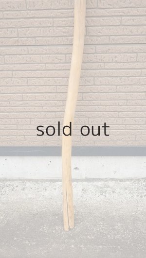 画像2: 棒流木・長尺