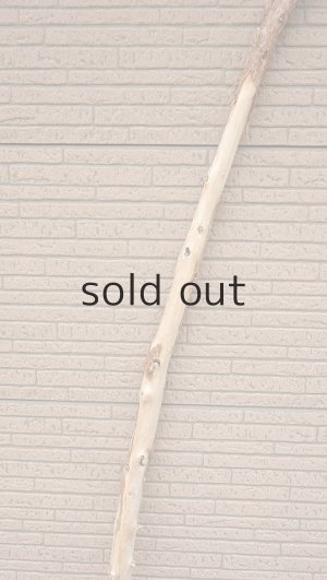 画像3: 棒流木・長尺