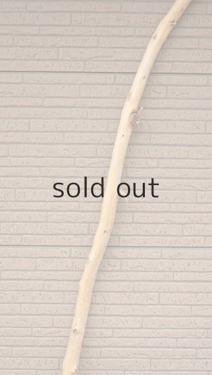 画像3: 棒流木・長尺