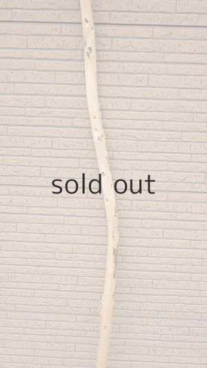 画像3: 棒流木・長尺