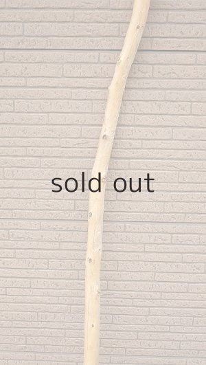 画像4: 棒流木・長尺