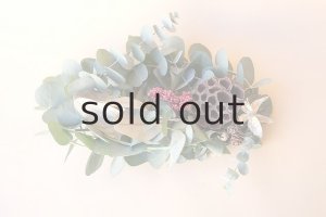 画像1: Dry plants for decor ユーカリクリスマスアレンジ用オブジェ(置きタイプ）