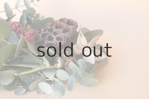 画像3: Dry plants for decor ユーカリクリスマスアレンジ用オブジェ(置きタイプ）