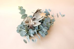 画像1: Dry plants for decor ユーカリクリスマスアレンジ用オブジェ(置きタイプ）