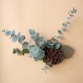 Dry plants for decor ユーカリクリスマスアレンジ用オブジェ（壁掛けタイプ）