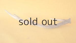 画像4: デコール用二ホンジカの角