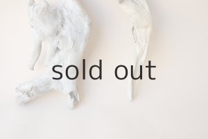 画像4: 流木根セット