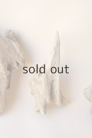 画像4: 変形流木セット