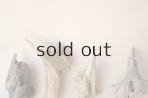 画像6: 変形流木セット