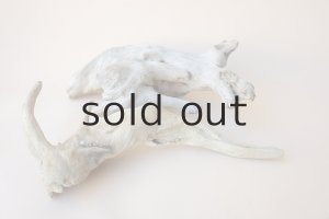 画像6: 流木根セット