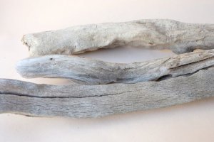 画像7: 変形流木セット