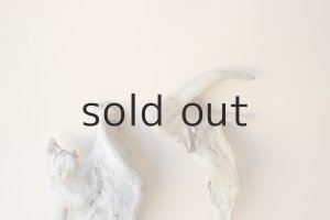 画像5: 流木根セット