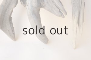 画像6: 変形流木セット