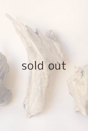 画像3: 変形流木セット