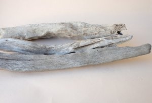 画像6: 変形流木セット