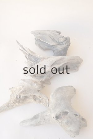 画像8: 変形流木セット