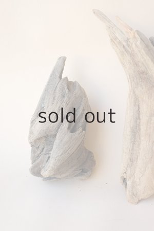 画像2: 変形流木セット