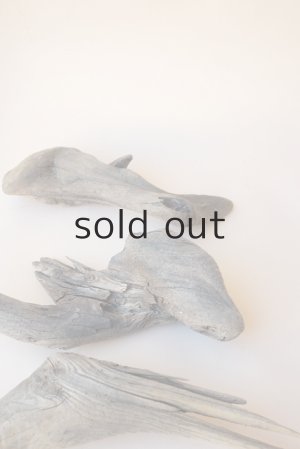 画像8: 変形流木セット