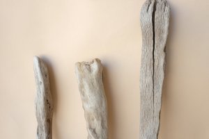 画像4: 変形流木セット