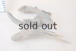 画像7: 変形流木セット