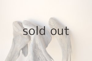 画像5: 変形流木セット