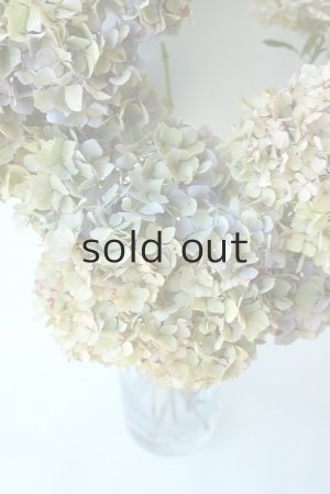 画像4: Dry plants for decor ドライアジサイ2020