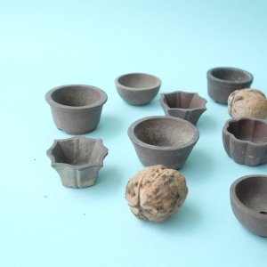 画像4: ミニ素焼き鉢1.5寸・バラ（USED）