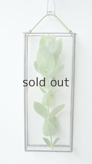 壁掛け用のフラワーベースを使って「お部屋でグレイ」に！