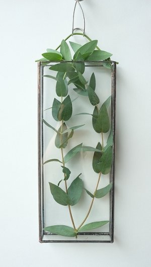 壁掛け用のフラワーベースを使って「お部屋でグレイ」に！