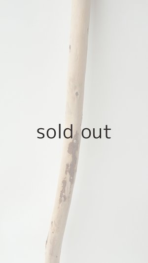 画像3: 棒流木