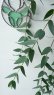 画像9: Dry plants for decor ユーカリ生切り枝（パルブラ）タイプ500〜700mm