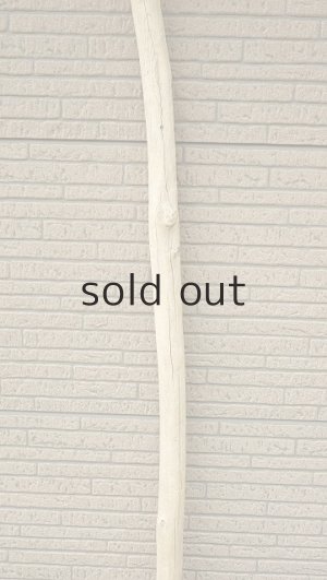 画像3: 棒流木・長尺