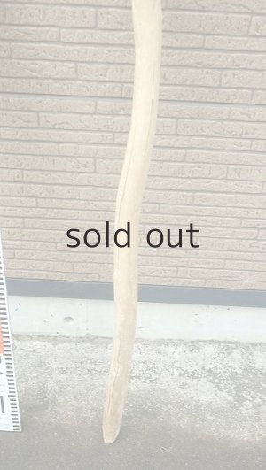 画像5: 棒流木・長尺