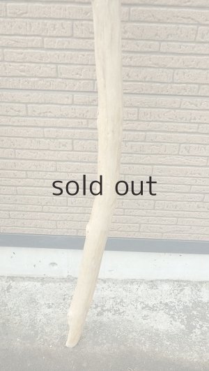 画像6: 棒流木・長尺