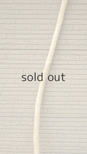 画像3: 棒流木・長尺