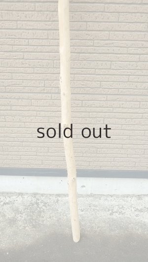 画像2: 棒流木・長尺