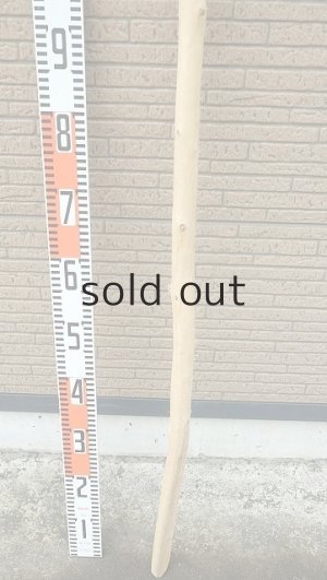 画像5: 棒流木・長尺