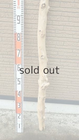 画像5: 棒流木・長尺