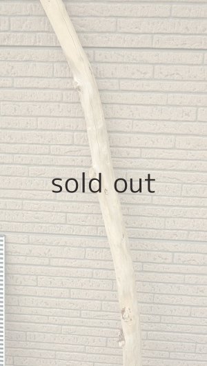 画像7: 棒流木・長尺