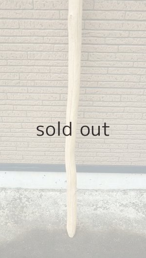 画像2: 棒流木・長尺