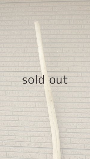 画像4: 棒流木・長尺