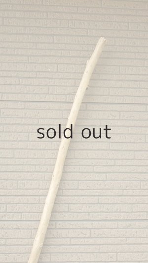 画像4: 棒流木・長尺