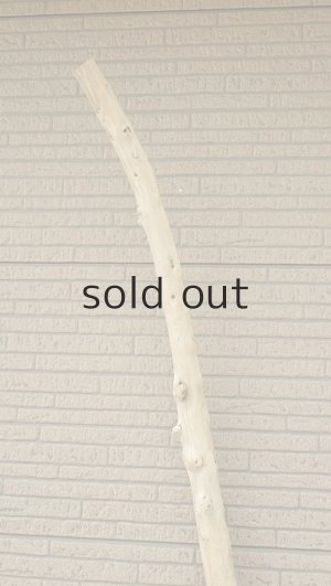 画像4: 棒流木・長尺
